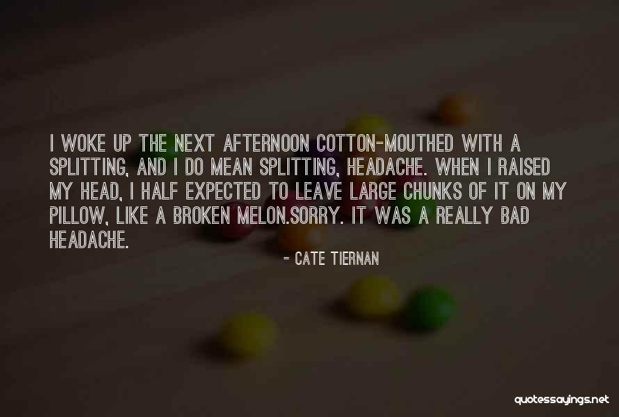 Cate Tiernan Quotes 1745314