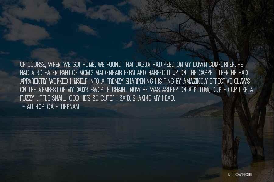 Cate Tiernan Quotes 570610