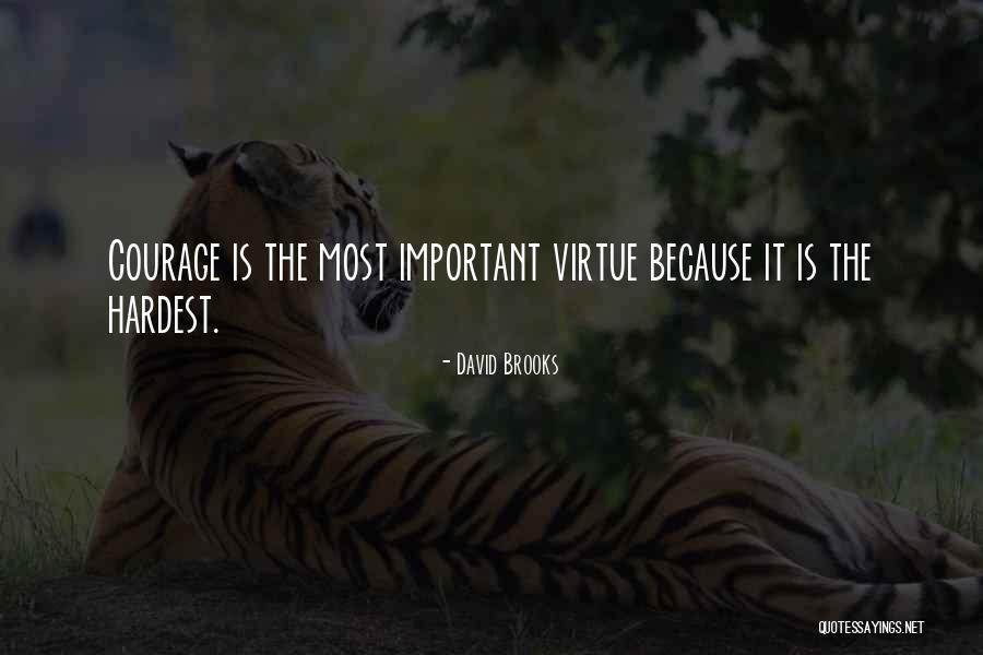 Categorii Vehicule Quotes By David Brooks Categorii Vehicule Quotes By David Brooks