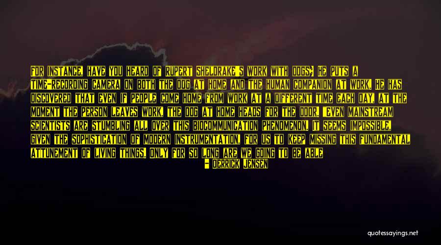 Categorise In A Sentence Quotes By Derrick Jensen Categorise In A Sentence Quotes By Derrick Jensen