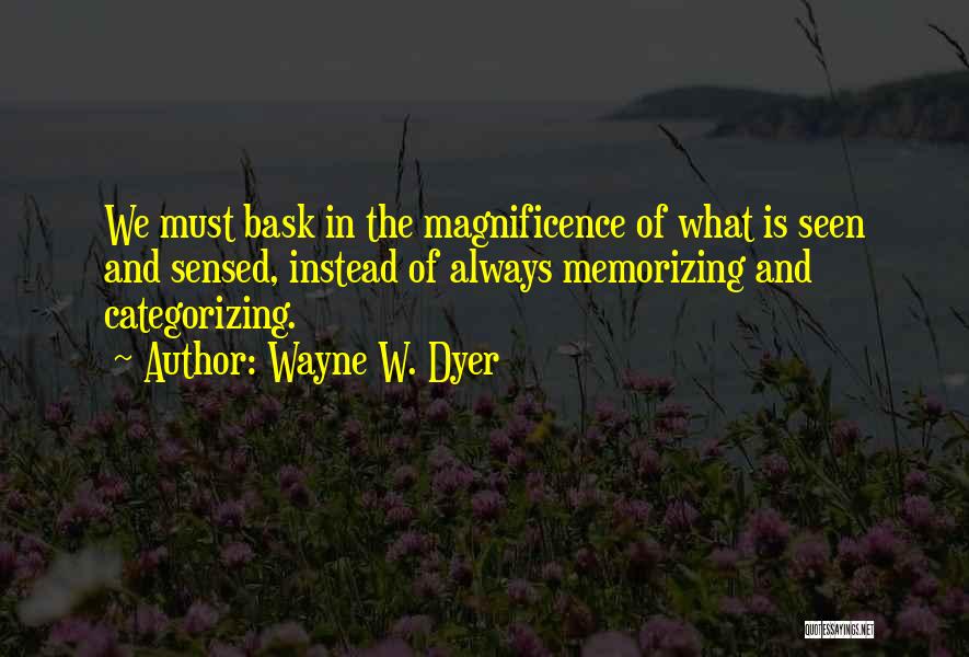 Categorizing Quotes By Wayne W. Dyer