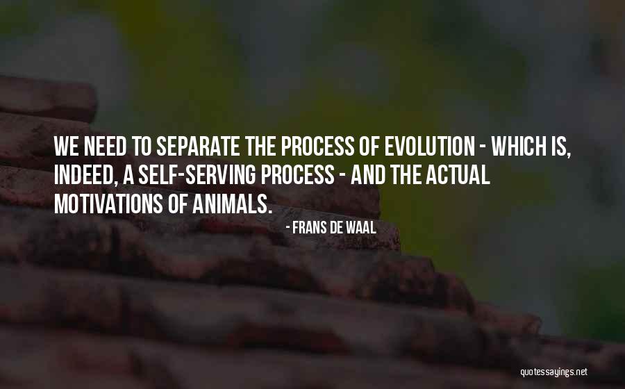 Cateland Quotes By Frans De Waal Cateland Quotes By Frans De Waal