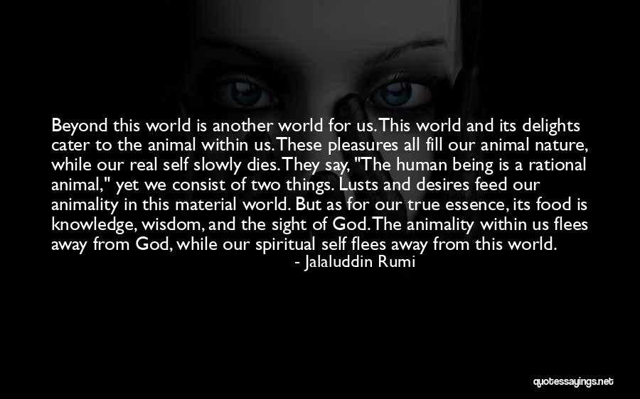 Cater To Him Quotes By Jalaluddin Rumi