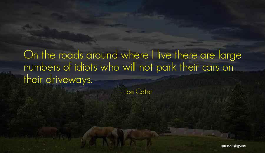 Cater To Him Quotes By Joe Cater