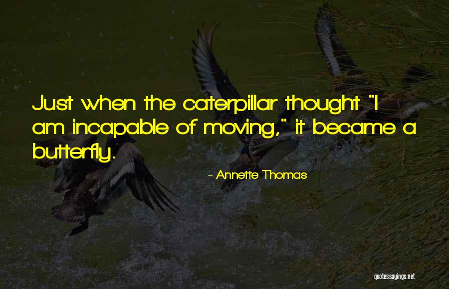 Caterpillar Butterfly Quotes By Annette Thomas Caterpillar Butterfly Quotes By Annette Thomas