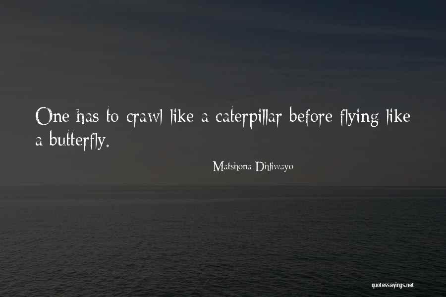 Caterpillar Quotes Quotes By Matshona Dhliwayo Caterpillar Quotes Quotes By Matshona Dhliwayo