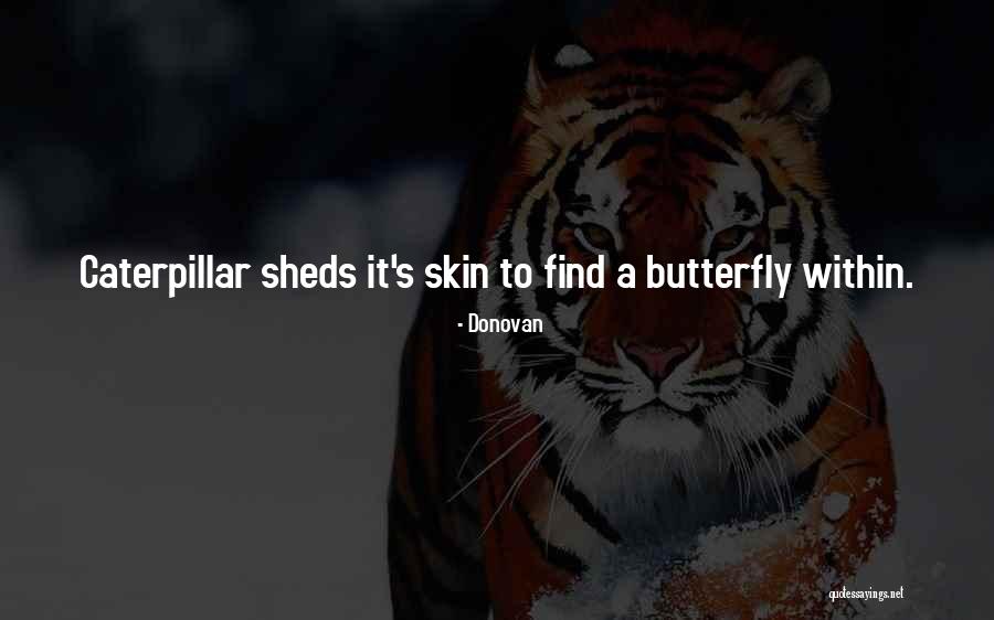 Caterpillar To Butterfly Quotes By Donovan Caterpillar To Butterfly Quotes By Donovan
