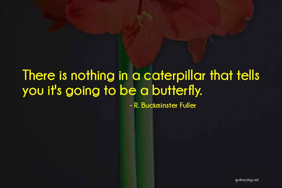 Caterpillar To Butterfly Quotes By R. Buckminster Fuller Caterpillar To Butterfly Quotes By R. Buckminster Fuller