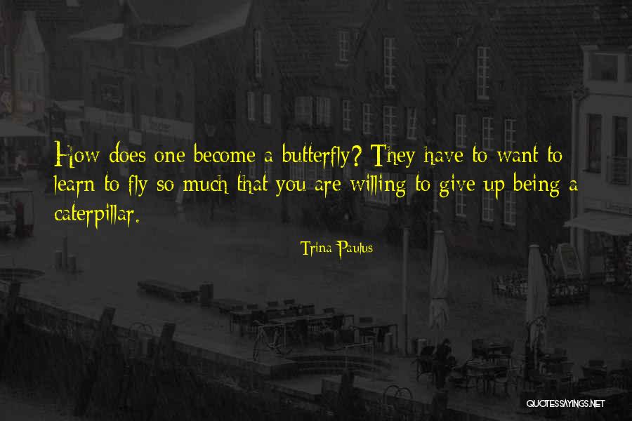 Caterpillar To Butterfly Quotes By Trina Paulus Caterpillar To Butterfly Quotes By Trina Paulus