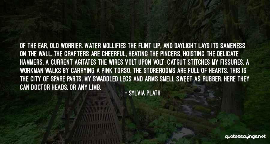 Catgut Quotes By Sylvia Plath Catgut Quotes By Sylvia Plath