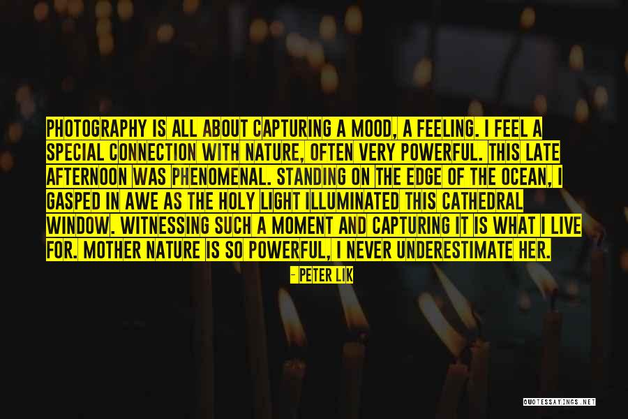 Cathedral Of Nature Quotes By Peter Lik Cathedral Of Nature Quotes By Peter Lik
