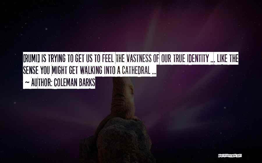 Cathedral Quotes By Coleman Barks