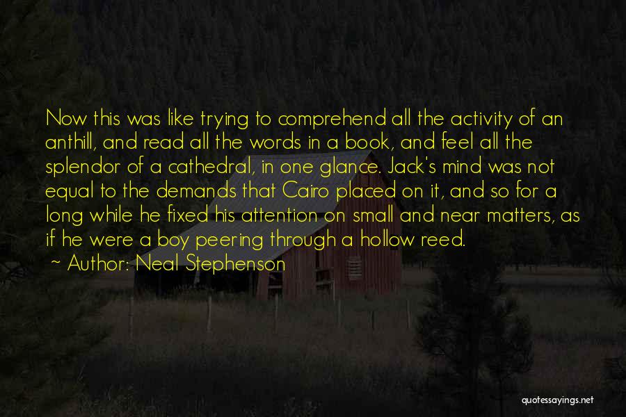 Cathedral Quotes By Neal Stephenson