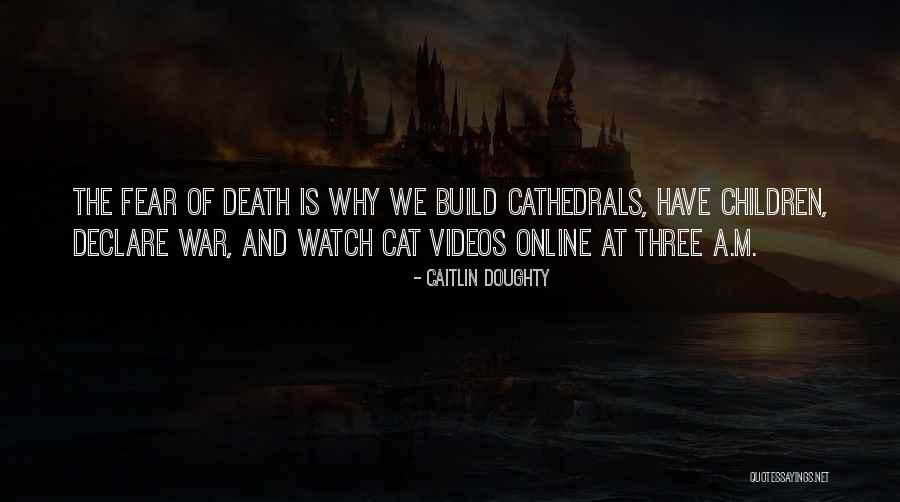 Cathedrals Of Culture Quotes By Caitlin Doughty