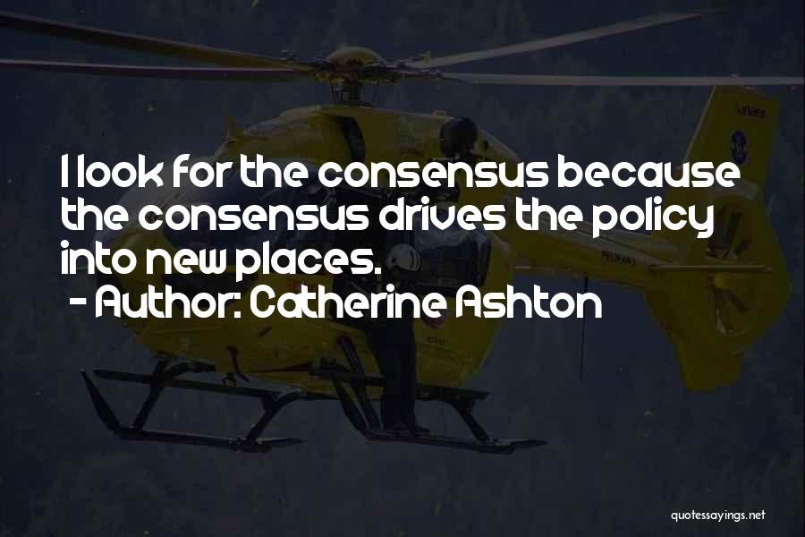 Catherine Ashton Quotes 303401