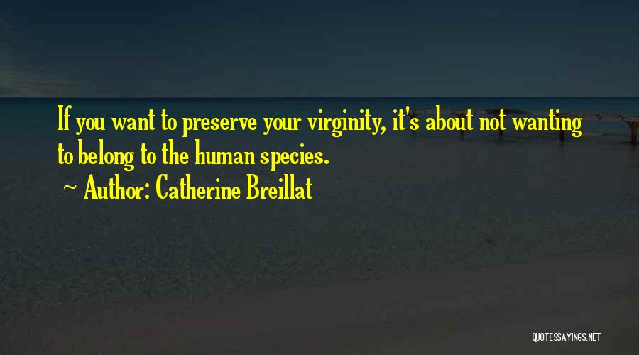 Catherine Breillat Quotes 1649933