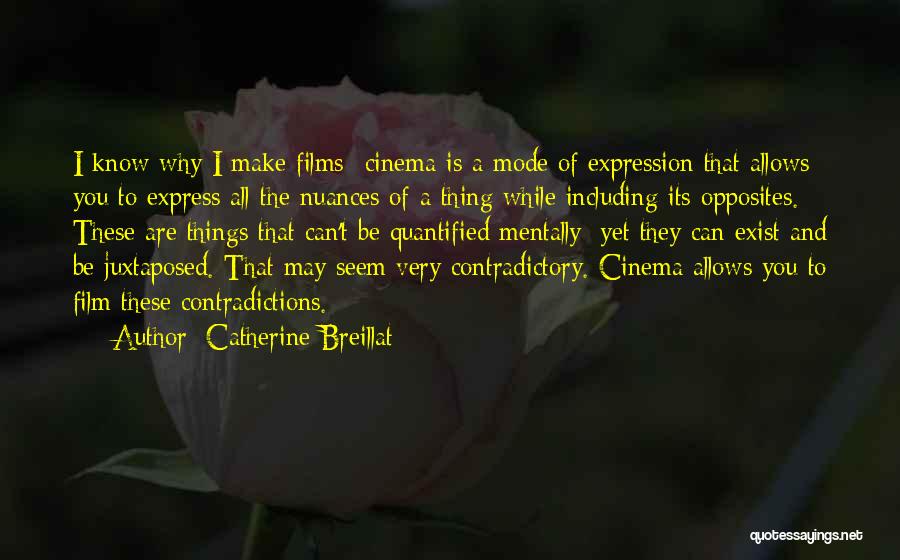Catherine Breillat Quotes 843927