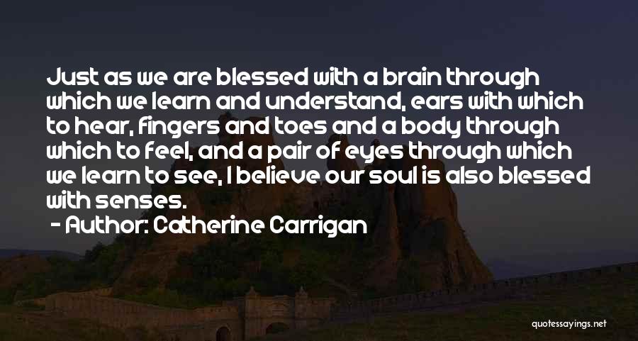Catherine Carrigan Quotes 1140018