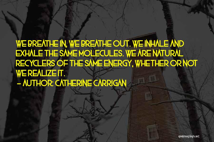 Catherine Carrigan Quotes 136185