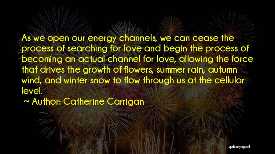 Catherine Carrigan Quotes 1432439