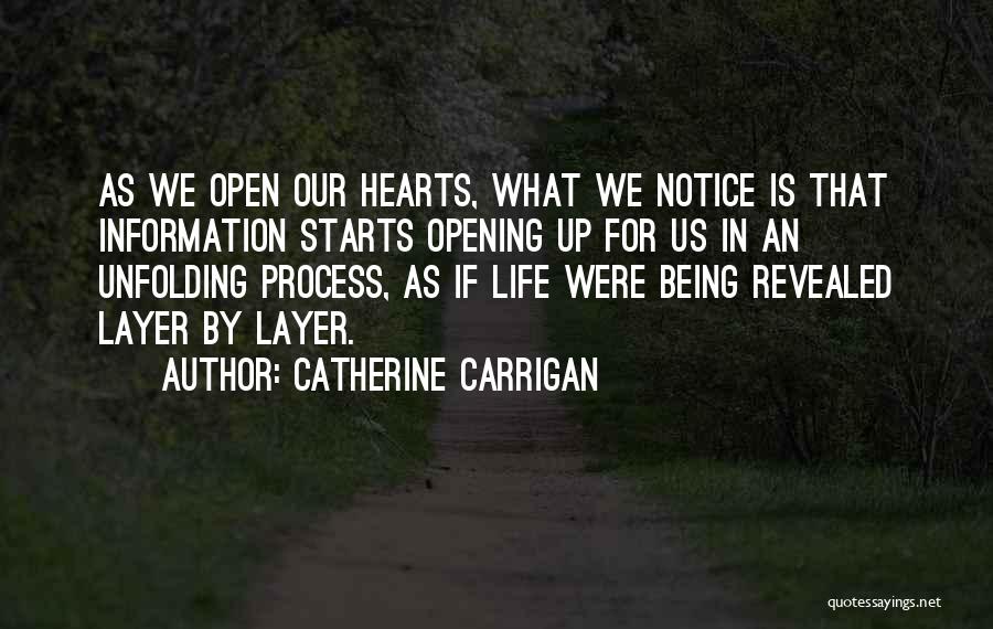 Catherine Carrigan Quotes 226276