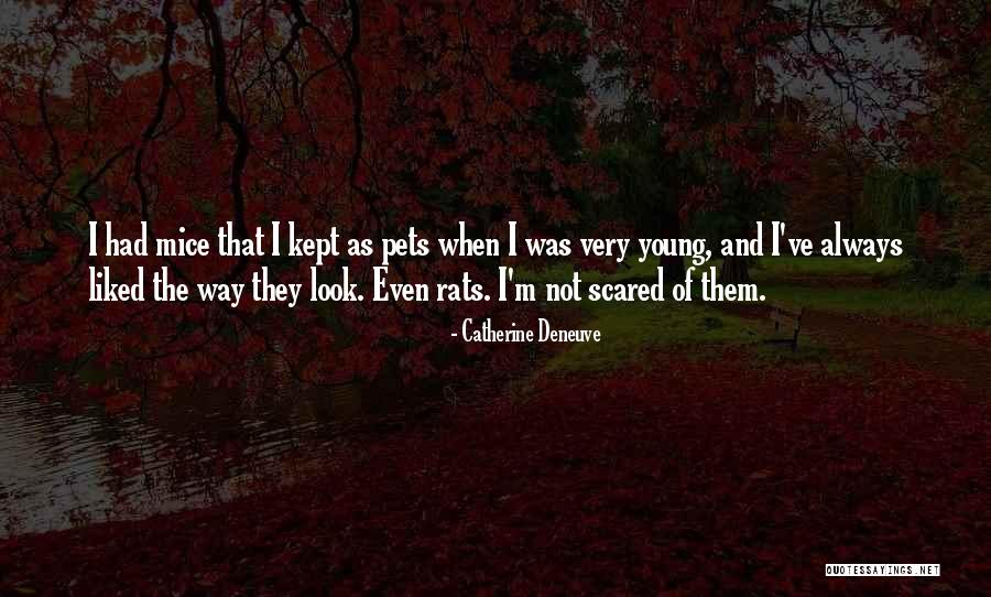Catherine Deneuve Quotes 905453 Catherine Deneuve Quotes 905453