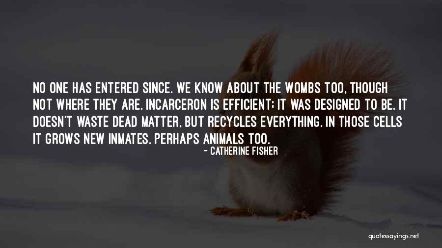 Catherine Fisher Quotes 263708 Catherine Fisher Quotes 263708