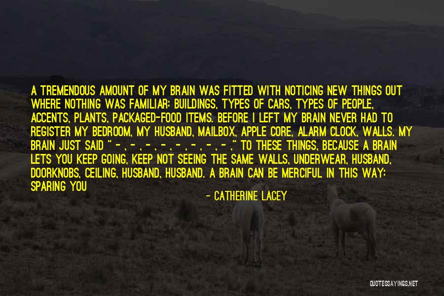 Catherine Lacey Quotes 1169248