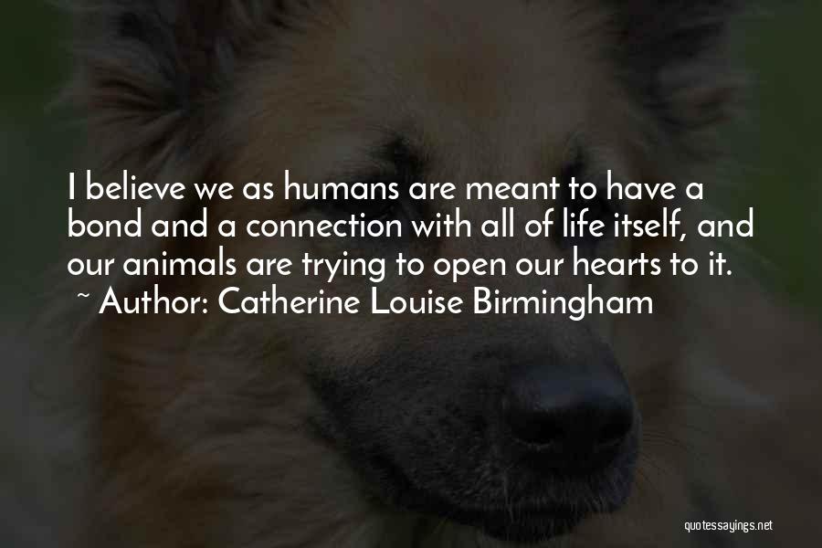 Catherine Louise Birmingham Quotes 1875215