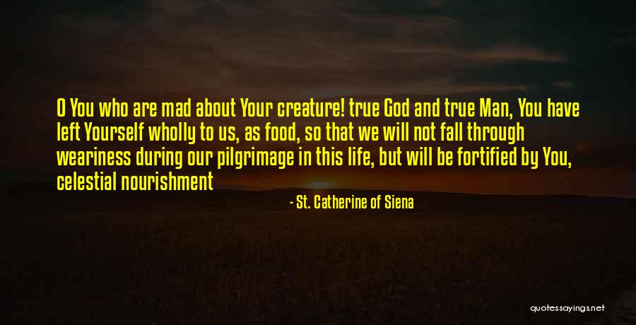 Catherine Siena Quotes By St. Catherine Of Siena Catherine Siena Quotes By St. Catherine Of Siena