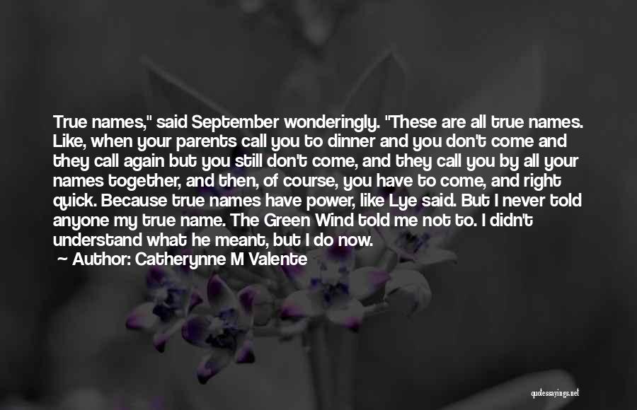 Catherynne M Valente Quotes 1376121