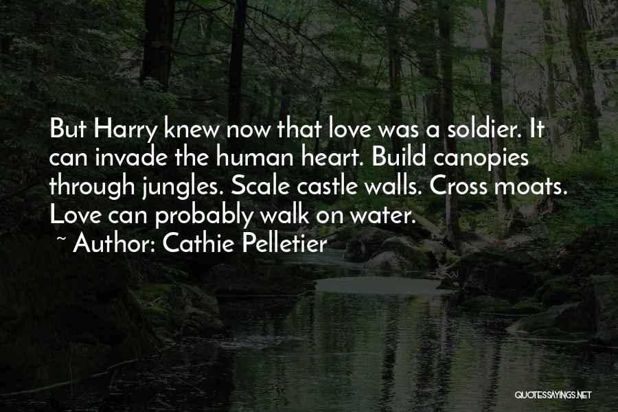Cathie Pelletier Quotes 1509443 Cathie Pelletier Quotes 1509443