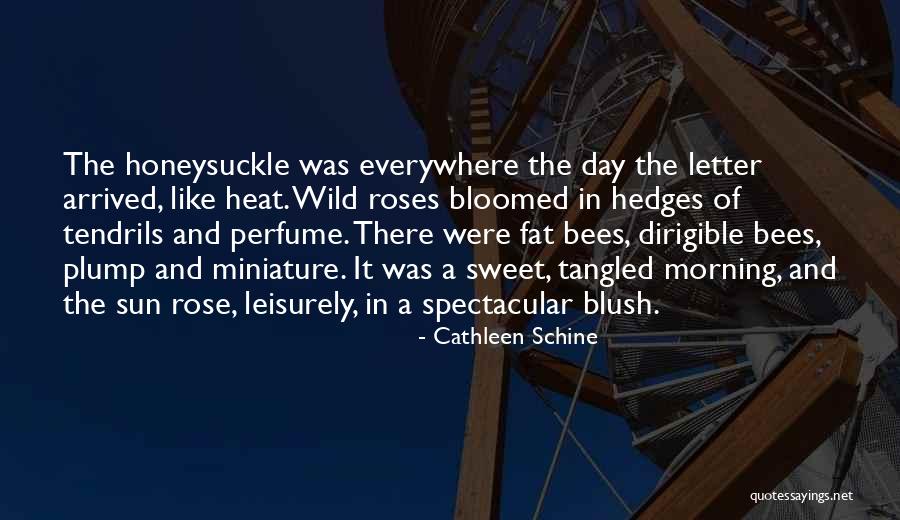 Cathleen Quotes By Cathleen Schine Cathleen Quotes By Cathleen Schine