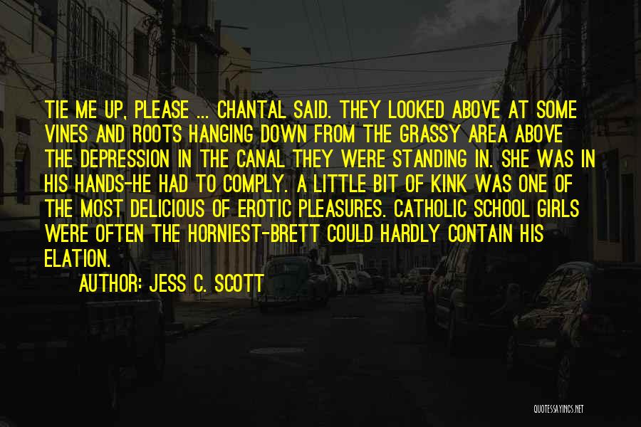 Catholic School Girl Quotes By Jess C. Scott