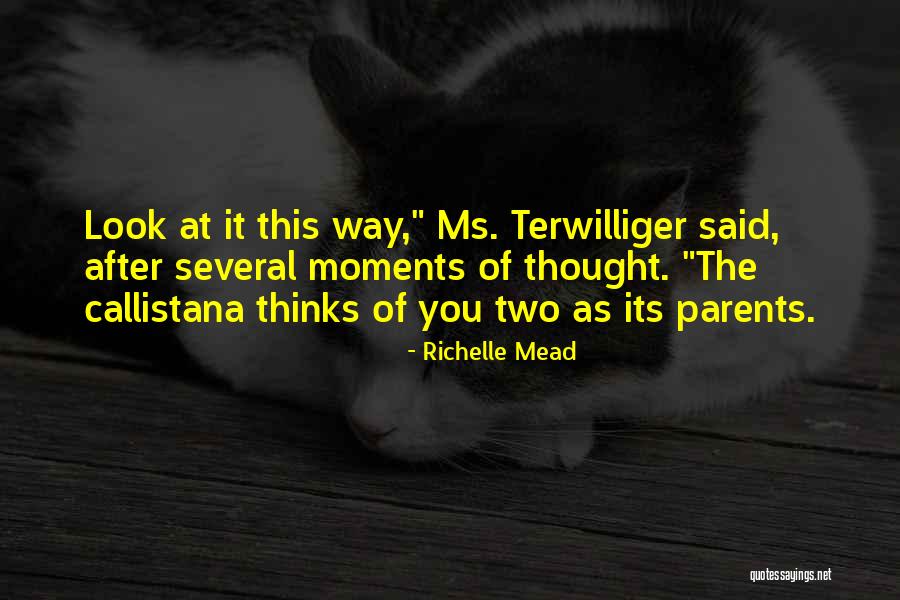 Catizone Electrical Quotes By Richelle Mead Catizone Electrical Quotes By Richelle Mead