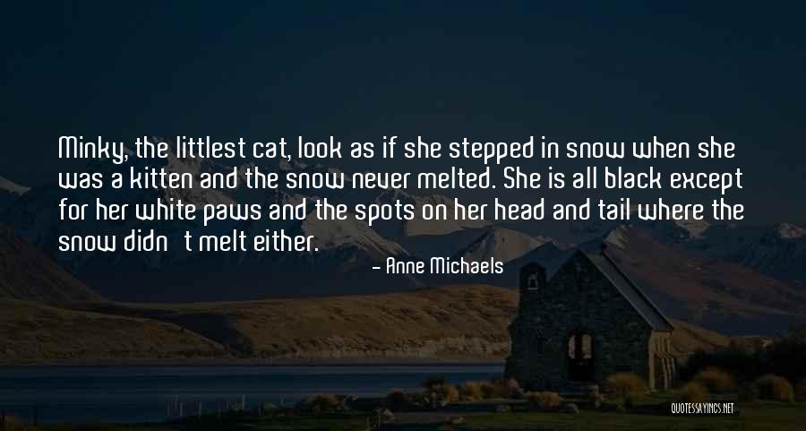 Catizone Eng Quotes By Anne Michaels Catizone Eng Quotes By Anne Michaels