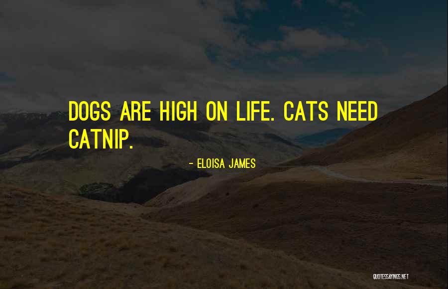 Catnip For Cats Quotes By Eloisa James Catnip For Cats Quotes By Eloisa James