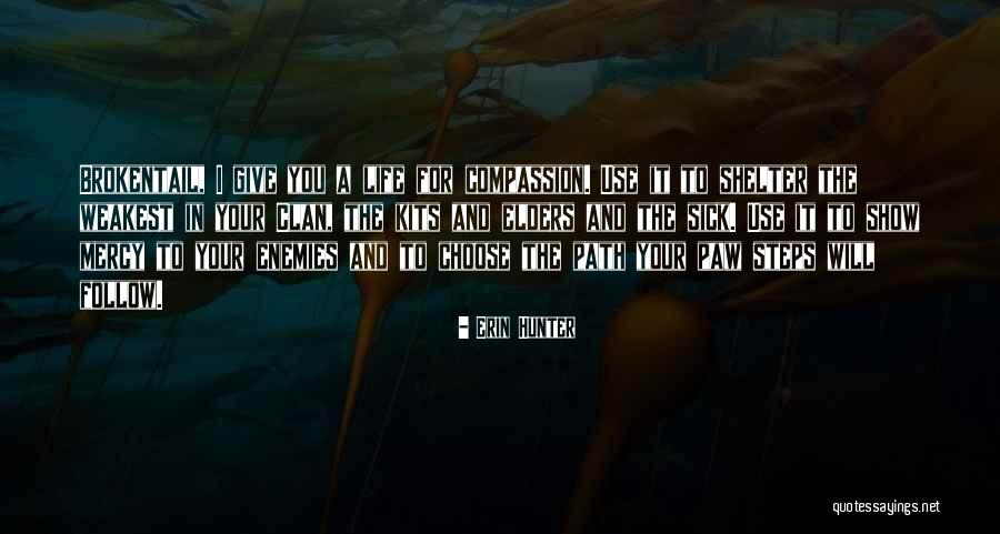 Catnip Seeds Quotes By Erin Hunter Catnip Seeds Quotes By Erin Hunter
