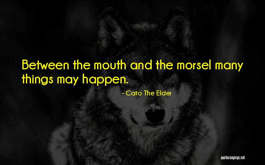 Cato The Elder Quotes 1516642 Cato The Elder Quotes 1516642