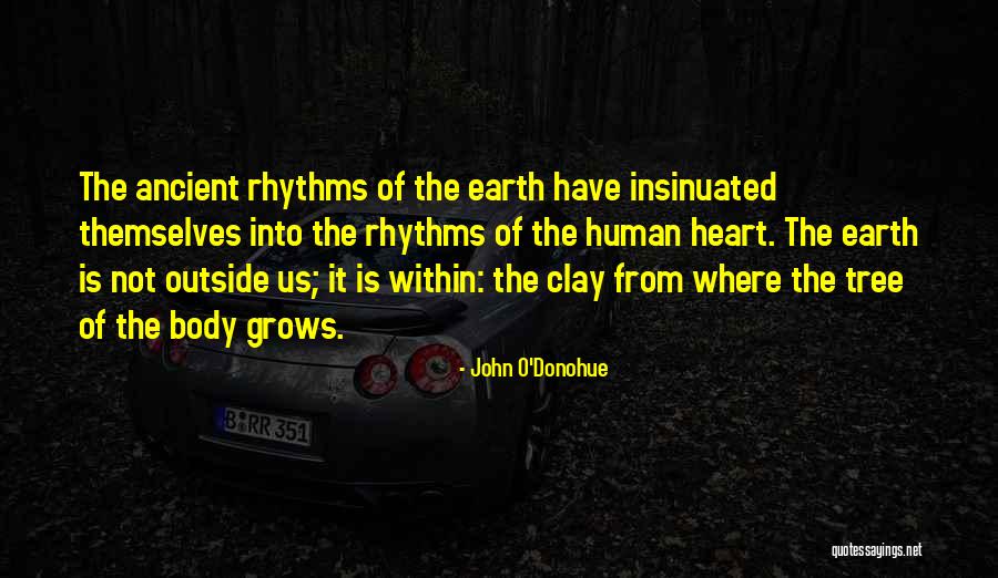 Catorze Ou Quotes By John O'Donohue Catorze Ou Quotes By John O'Donohue