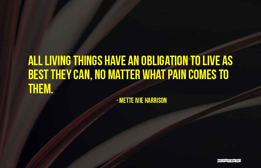 Catovect Quotes By Mette Ivie Harrison Catovect Quotes By Mette Ivie Harrison