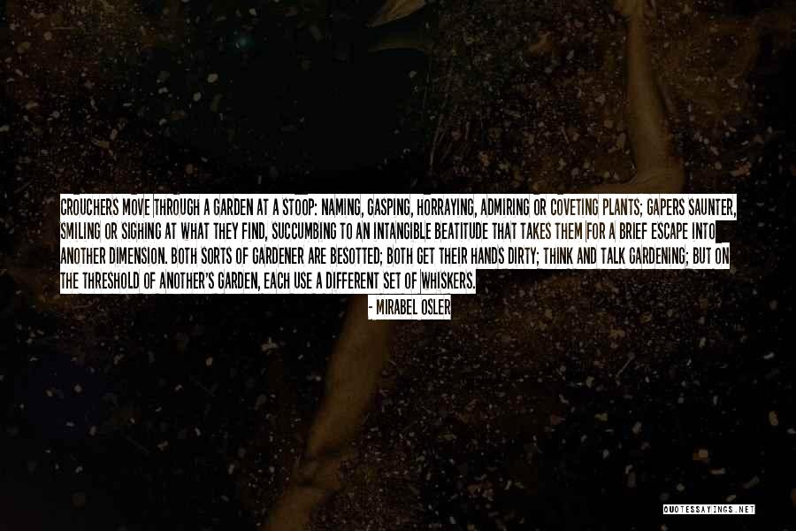 Catrice Advent Quotes By Mirabel Osler Catrice Advent Quotes By Mirabel Osler