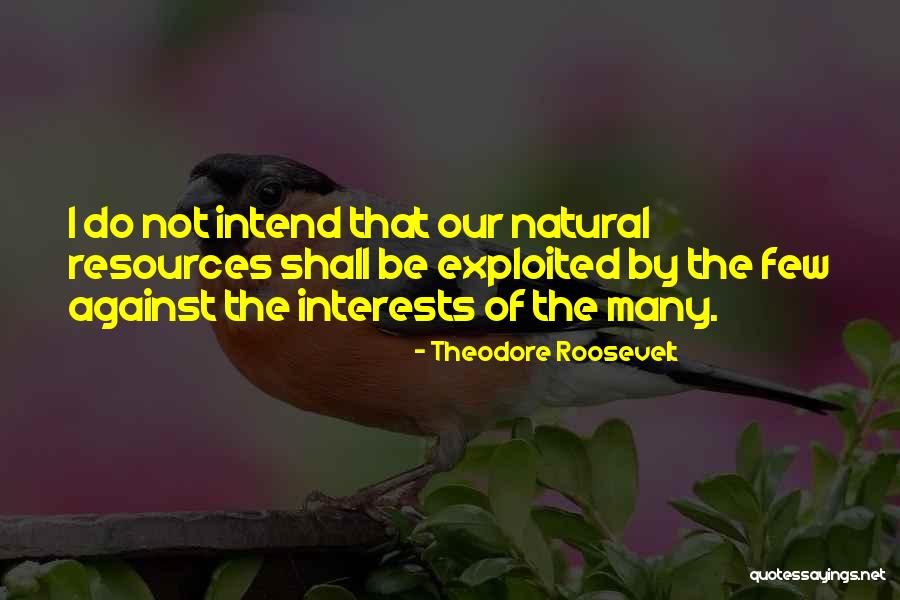 Catrice Advent Quotes By Theodore Roosevelt Catrice Advent Quotes By Theodore Roosevelt