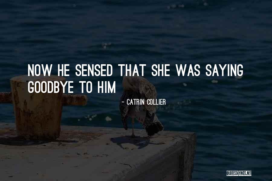 Catrin Collier Quotes 229243