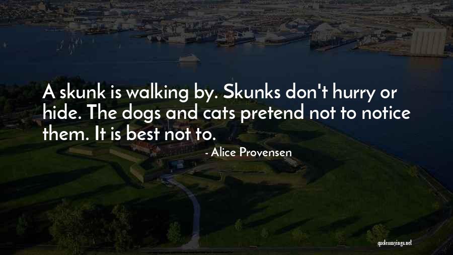 Cats And Dogs Quotes By Alice Provensen