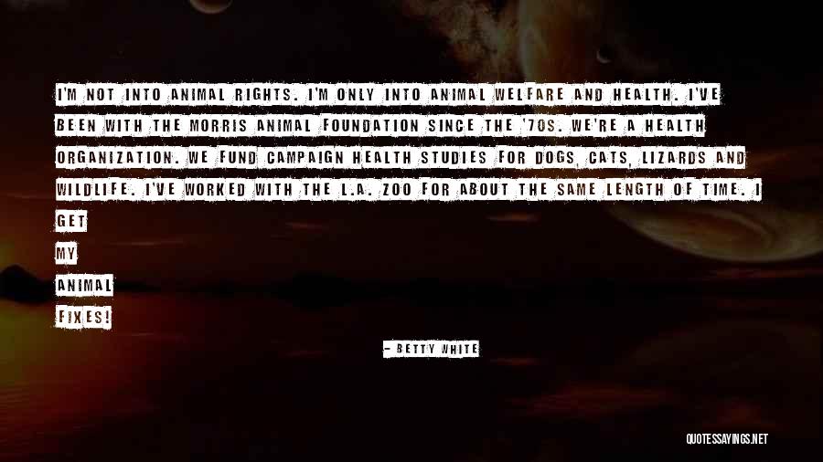 Cats And Dogs Quotes By Betty White Cats And Dogs Quotes By Betty White