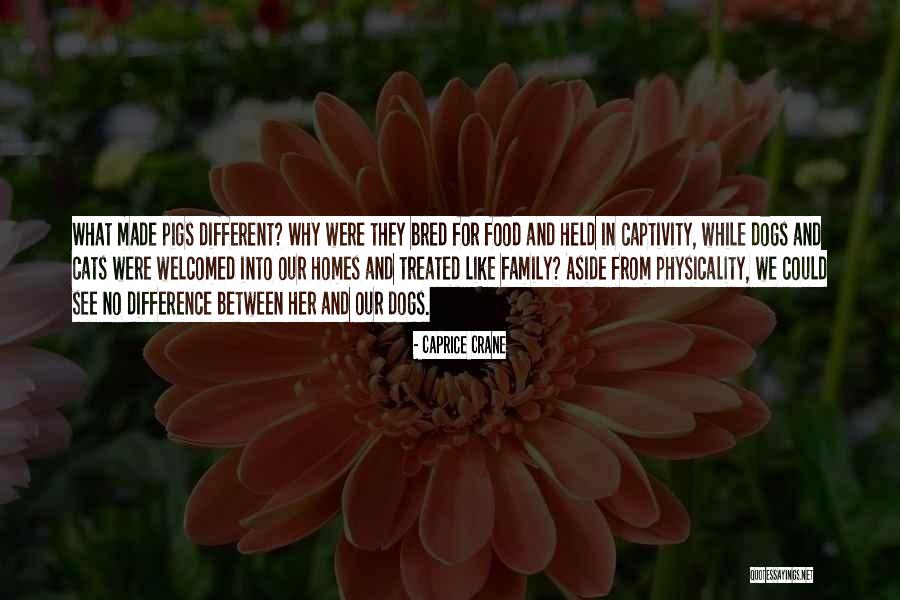 Cats And Dogs Quotes By Caprice Crane Cats And Dogs Quotes By Caprice Crane