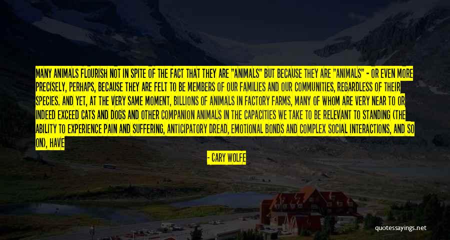 Cats And Dogs Quotes By Cary Wolfe Cats And Dogs Quotes By Cary Wolfe