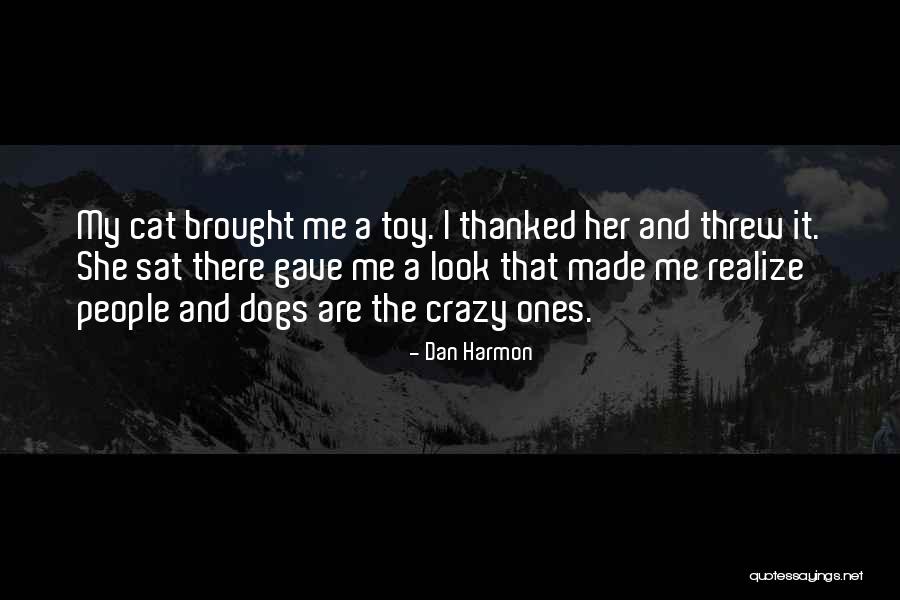 Cats And Dogs Quotes By Dan Harmon