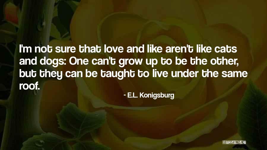 Cats And Dogs Quotes By E.L. Konigsburg